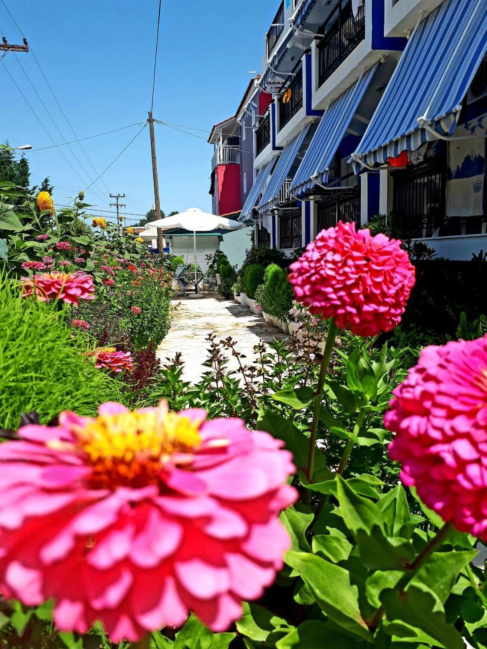 Zante Dahlia Laganas Exterior foto