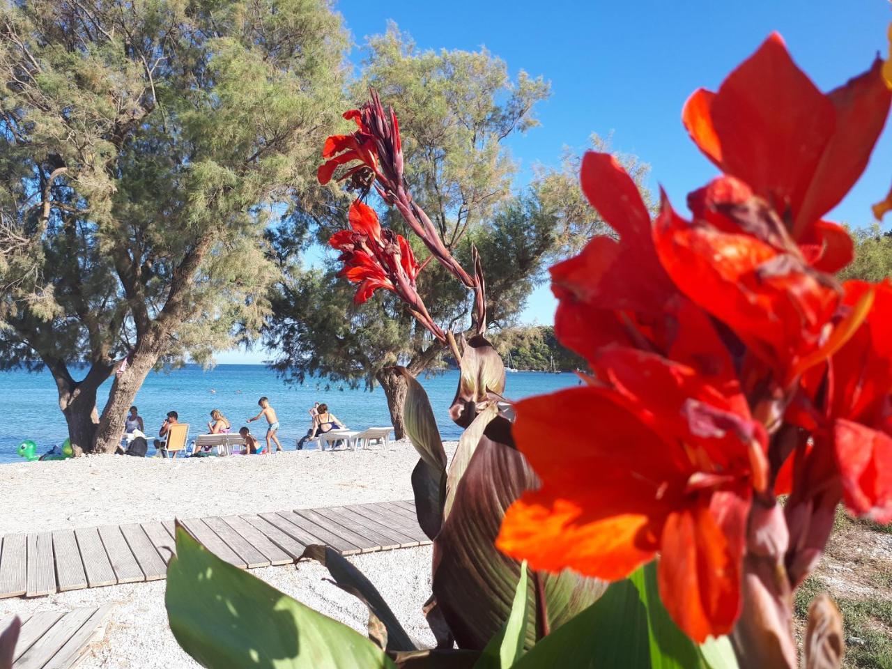 Zante Dahlia Laganas Exterior foto